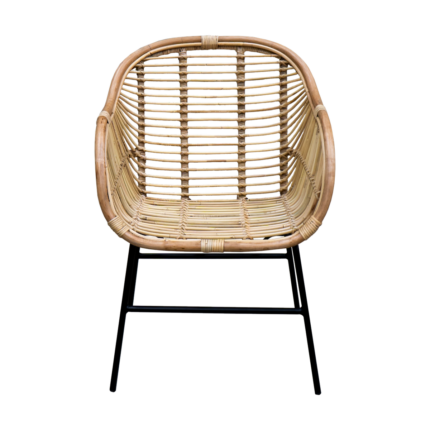 silla kentia